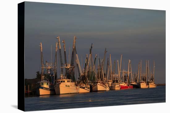 USA, Florida, Darien, Shrimp Boats Docked at Darien Ga-Joanne Wells-Stretched Canvas