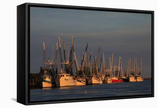 USA, Florida, Darien, Shrimp Boats Docked at Darien Ga-Joanne Wells-Framed Stretched Canvas