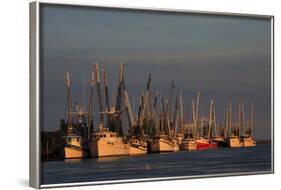 USA, Florida, Darien, Shrimp Boats Docked at Darien Ga-Joanne Wells-Framed Photographic Print