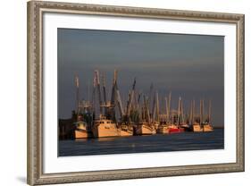 USA, Florida, Darien, Shrimp Boats Docked at Darien Ga-Joanne Wells-Framed Photographic Print