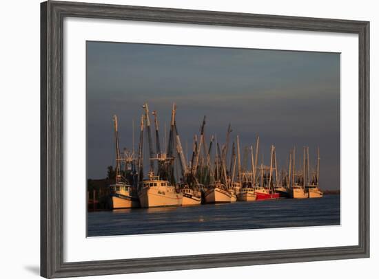 USA, Florida, Darien, Shrimp Boats Docked at Darien Ga-Joanne Wells-Framed Photographic Print