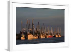 USA, Florida, Darien, Shrimp Boats Docked at Darien Ga-Joanne Wells-Framed Photographic Print