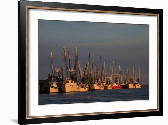 USA, Florida, Darien, Shrimp Boats Docked at Darien Ga-Joanne Wells-Framed Photographic Print