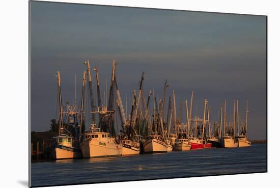 USA, Florida, Darien, Shrimp Boats Docked at Darien Ga-Joanne Wells-Mounted Photographic Print