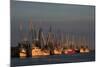 USA, Florida, Darien, Shrimp Boats Docked at Darien Ga-Joanne Wells-Mounted Photographic Print