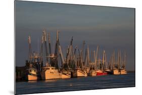 USA, Florida, Darien, Shrimp Boats Docked at Darien Ga-Joanne Wells-Mounted Photographic Print