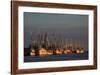 USA, Florida, Darien, Shrimp Boats Docked at Darien Ga-Joanne Wells-Framed Photographic Print