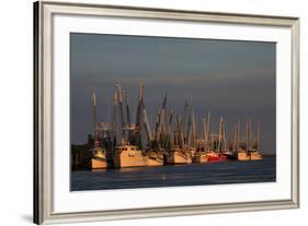 USA, Florida, Darien, Shrimp Boats Docked at Darien Ga-Joanne Wells-Framed Photographic Print