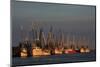 USA, Florida, Darien, Shrimp Boats Docked at Darien Ga-Joanne Wells-Mounted Photographic Print