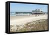 USA, Florida, Daytona Beach, Joe's Crab Shack on beach.-Lisa S. Engelbrecht-Framed Stretched Canvas