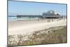 USA, Florida, Daytona Beach, Joe's Crab Shack on beach.-Lisa S. Engelbrecht-Mounted Photographic Print