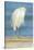 USA, Florida, Daytona Beach, Snowy Egret-Jim Engelbrecht-Stretched Canvas