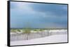 USA, Florida. Dunes and grasses on Santa Rosa island beach.-Anna Miller-Framed Stretched Canvas