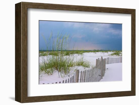 USA, Florida. Dunes and grasses on Santa Rosa island beach.-Anna Miller-Framed Photographic Print