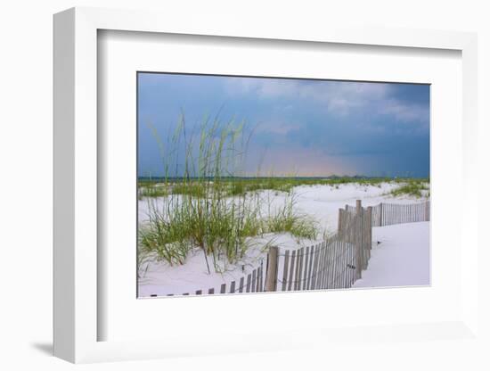 USA, Florida. Dunes and grasses on Santa Rosa island beach.-Anna Miller-Framed Photographic Print