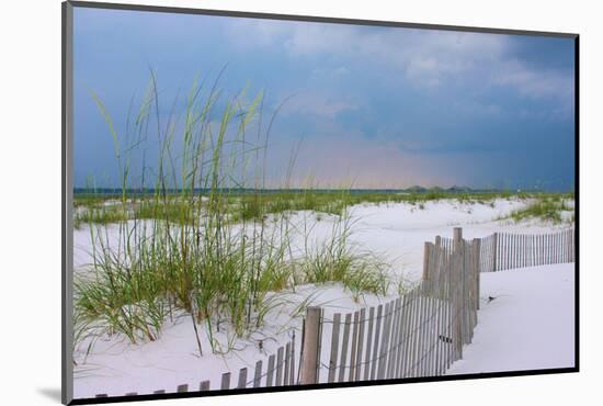 USA, Florida. Dunes and grasses on Santa Rosa island beach.-Anna Miller-Mounted Photographic Print