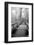 USA, Florida, Fakahatchee Strand Preserve State Park, Big Bend Board Walk. Infrared-Connie Bransilver-Framed Photographic Print