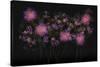 USA, Florida. Floral bounty-Hollice Looney-Stretched Canvas