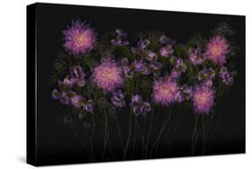 USA, Florida. Floral bounty-Hollice Looney-Stretched Canvas