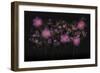 USA, Florida. Floral bounty-Hollice Looney-Framed Photographic Print