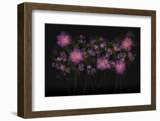 USA, Florida. Floral bounty-Hollice Looney-Framed Photographic Print