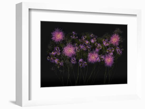 USA, Florida. Floral bounty-Hollice Looney-Framed Photographic Print