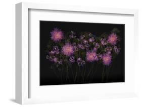 USA, Florida. Floral bounty-Hollice Looney-Framed Photographic Print