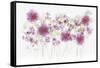 USA, Florida. Floral bounty-Hollice Looney-Framed Stretched Canvas