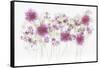 USA, Florida. Floral bounty-Hollice Looney-Framed Stretched Canvas