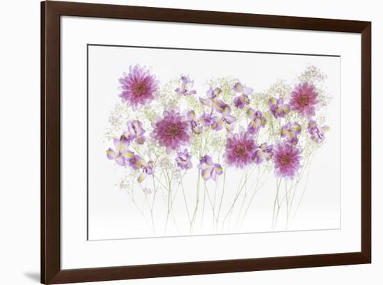 USA, Florida. Floral bounty-Hollice Looney-Framed Premium Photographic Print