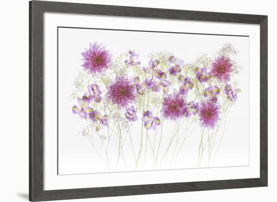 USA, Florida. Floral bounty-Hollice Looney-Framed Premium Photographic Print