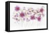 USA, Florida. Floral bounty-Hollice Looney-Framed Stretched Canvas