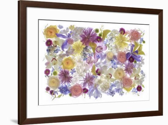 USA, Florida. Floral bounty-Hollice Looney-Framed Premium Photographic Print