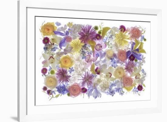 USA, Florida. Floral bounty-Hollice Looney-Framed Premium Photographic Print