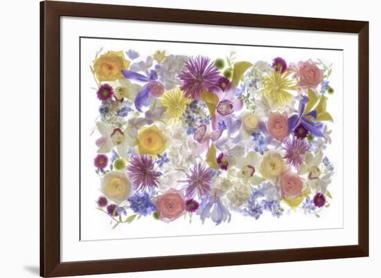 USA, Florida. Floral bounty-Hollice Looney-Framed Premium Photographic Print