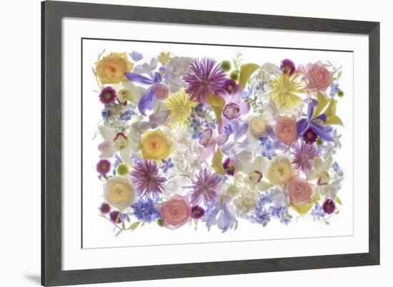 USA, Florida. Floral bounty-Hollice Looney-Framed Premium Photographic Print