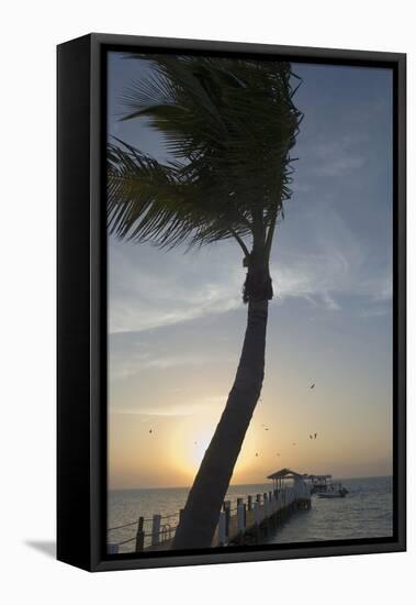 USA, Florida, Florida Keys, Sunrise over pier and boat dock at luxurious Cheeca Lodge, Islamorada-European School-Framed Stretched Canvas