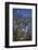 USA, Florida. Great Egret nesting in a tree with a wood stork standing at the top.-Margaret Gaines-Framed Photographic Print