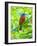 USA, Florida, Immokalee, Painted Bunting-Bernard Friel-Framed Photographic Print