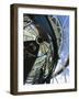 USA, Florida, Jupiter, Jupiter Inlet Lighthouse, Detail of the Fresnel Lens-Walter Bibikow-Framed Photographic Print