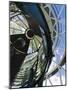 USA, Florida, Jupiter, Jupiter Inlet Lighthouse, Detail of the Fresnel Lens-Walter Bibikow-Mounted Photographic Print