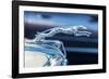 USA, Florida, New Smyrna Beach, classic car show, 1936 Ford hood ornament-Jim Engelbrecht-Framed Photographic Print