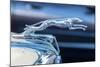 USA, Florida, New Smyrna Beach, classic car show, 1936 Ford hood ornament-Jim Engelbrecht-Mounted Photographic Print