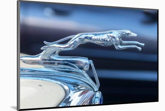 USA, Florida, New Smyrna Beach, classic car show, 1936 Ford hood ornament-Jim Engelbrecht-Mounted Photographic Print