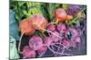 USA, Florida, New Smyrna Beach, fresh radish at farmers market.-Jim Engelbrecht-Mounted Photographic Print