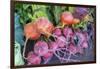 USA, Florida, New Smyrna Beach, fresh radish at farmers market.-Jim Engelbrecht-Framed Photographic Print