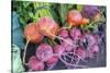 USA, Florida, New Smyrna Beach, fresh radish at farmers market.-Jim Engelbrecht-Stretched Canvas