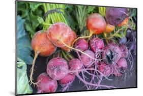 USA, Florida, New Smyrna Beach, fresh radish at farmers market.-Jim Engelbrecht-Mounted Photographic Print