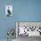 USA, Florida, New Smyrna Beach, Pelican Perched on Pylon-Jim Engelbrecht-Photographic Print displayed on a wall