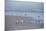 USA, Florida, New Smyrna Beach, Royal Terns on Beach-Lisa S. Engelbrecht-Mounted Premium Photographic Print